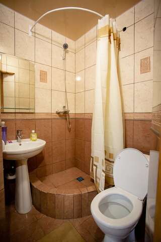 Гостевой дом Guest House Arkan Яремче Двухместный номер с 1 кроватью и собственной ванной комнатой-2