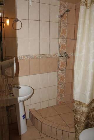 Гостевой дом Guest House Arkan Яремче Двухместный номер Делюкс с 1 кроватью-14