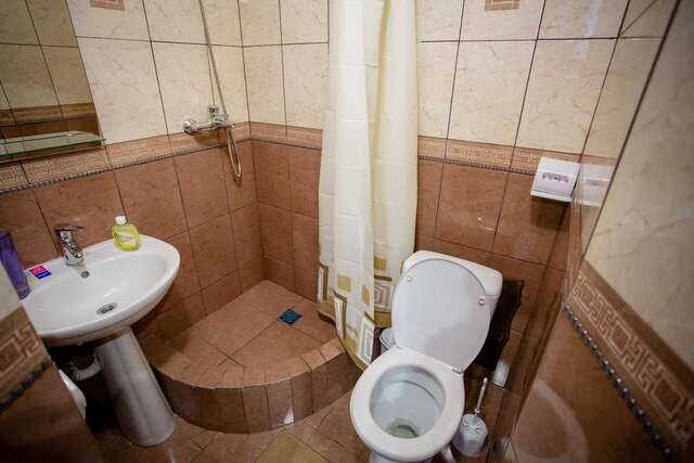 Гостевой дом Guest House Arkan Яремче-38
